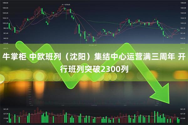 牛掌柜 中欧班列（沈阳）集结中心运营满三周年 开行班列突破2300列