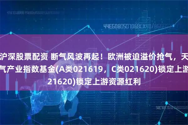 沪深股票配资 断气风波再起！欧洲被迫溢价抢气，天弘中证油气产业指数基金(A类021619，C类021620)锁定上游资源红利