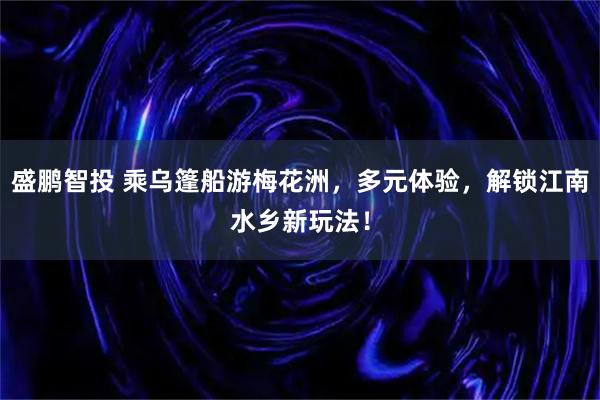 盛鹏智投 乘乌篷船游梅花洲，多元体验，解锁江南水乡新玩法！