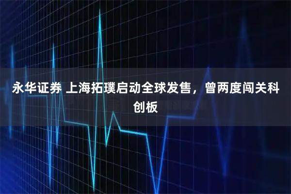 永华证券 上海拓璞启动全球发售，曾两度闯关科创板