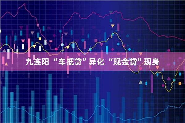 九连阳 “车抵贷”异化 “现金贷”现身