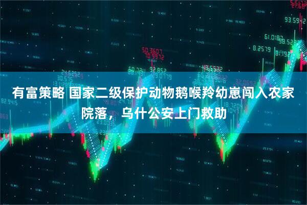 有富策略 国家二级保护动物鹅喉羚幼崽闯入农家院落，乌什公安上门救助