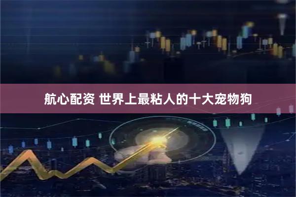 航心配资 世界上最粘人的十大宠物狗