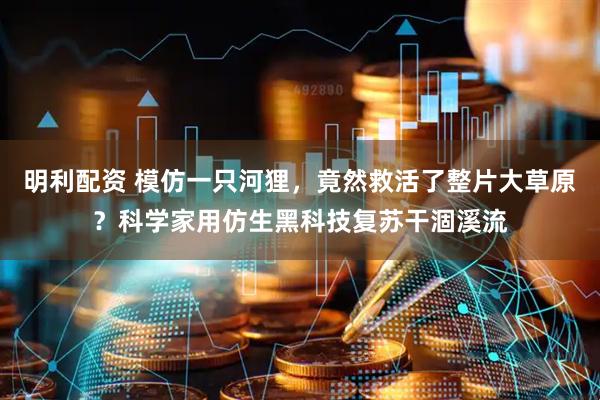 明利配资 模仿一只河狸,竟然救活了整片大草原?科学家用仿生黑科技复苏干涸溪流