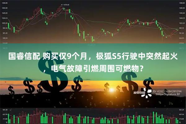 国睿信配 购买仅9个月，极狐S5行驶中突然起火，电气故障引燃周围可燃物？