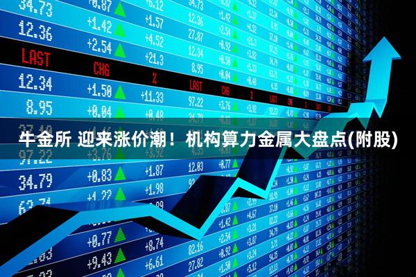 牛金所 迎来涨价潮!机构算力金属大盘点(附股)