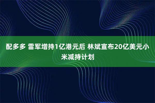 配多多 雷军增持1亿港元后 林斌宣布20亿美元小米减持计划